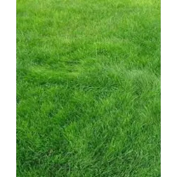 Natural Grass